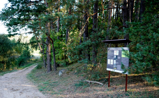 46. Vanago taku Priesaikos kalnas.jpg